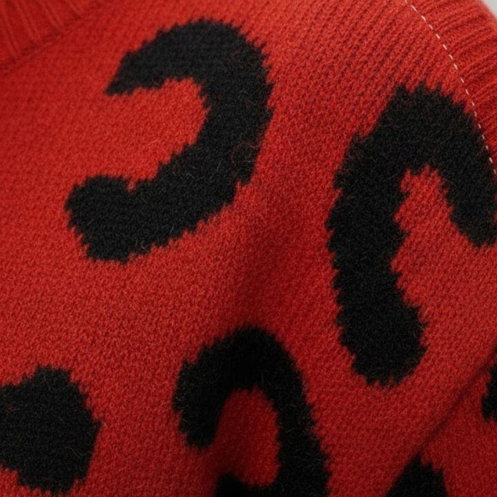Women Leopard Print Knit Sweater Relaxed Fit Long Sleeve